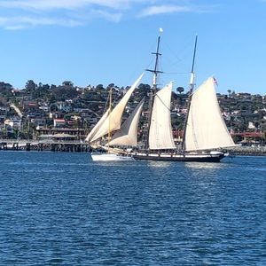 Meet your Posher, Griffin